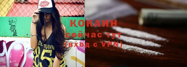 apvp Каменка