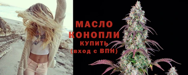 apvp Каменка