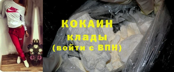 apvp Каменка