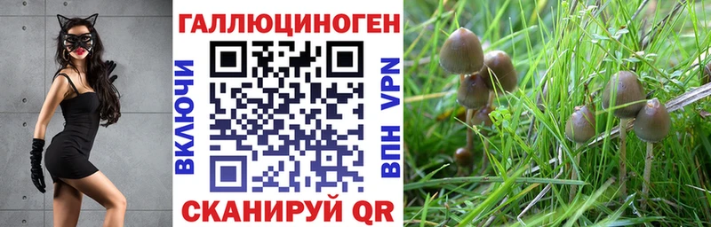 Купить где  Старая Русса  Галлюциногенные грибы прущие грибы 